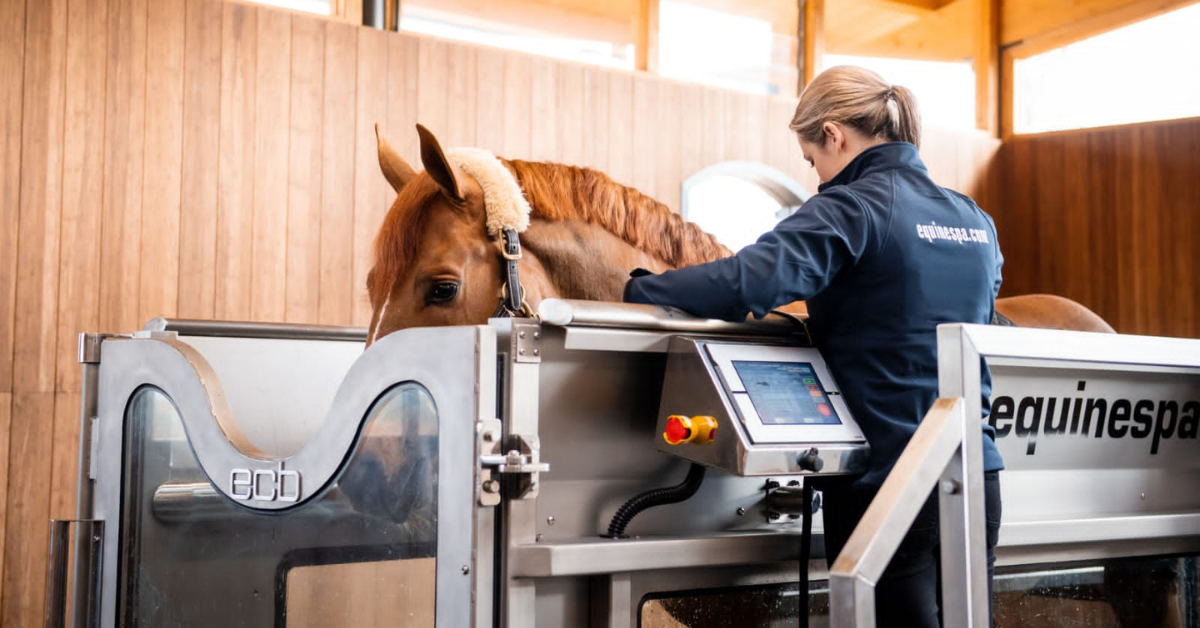 Water Treadmills for horses